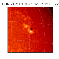 gong - 2026-02-17T15:00:22