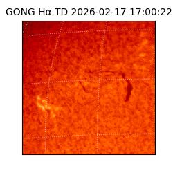 gong - 2026-02-17T17:00:22