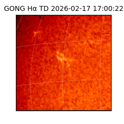 gong - 2026-02-17T17:00:22