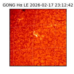 gong - 2026-02-17T23:12:42