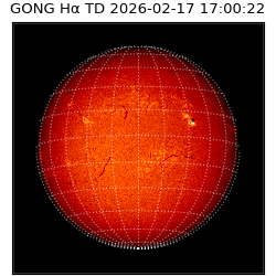 gong - 2026-02-17T17:00:22