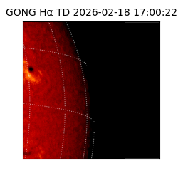 gong - 2026-02-18T17:00:22