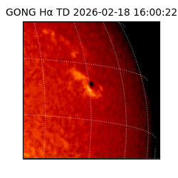 gong - 2026-02-18T16:00:22