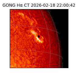 gong - 2026-02-18T22:00:42