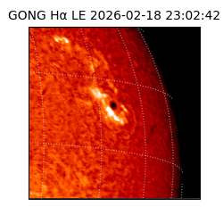 gong - 2026-02-18T23:02:42
