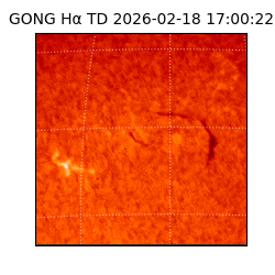 gong - 2026-02-18T17:00:22