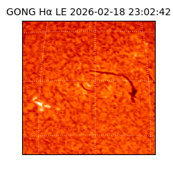 gong - 2026-02-18T23:02:42