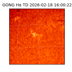 gong - 2026-02-18T16:00:22