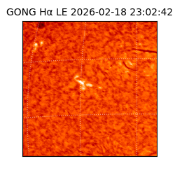 gong - 2026-02-18T23:02:42
