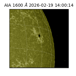 saia - 2026-02-19T14:00:14.125000