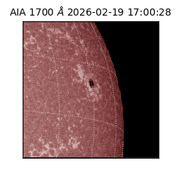 saia - 2026-02-19T17:00:28.717000