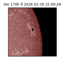 saia - 2026-02-19T22:00:28.721000