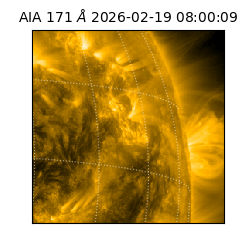 saia - 2026-02-19T08:00:09.353000