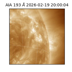 saia - 2026-02-19T20:00:04.843000