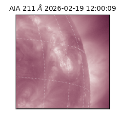 saia - 2026-02-19T12:00:09.624000