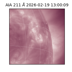 saia - 2026-02-19T13:00:09.627000