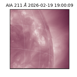 saia - 2026-02-19T19:00:09.626000