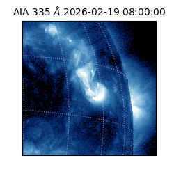 saia - 2026-02-19T08:00:00.619000