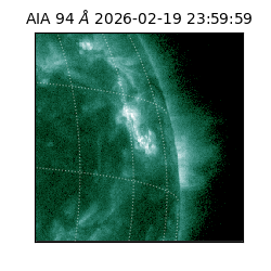 saia - 2026-02-19T23:59:59.130000