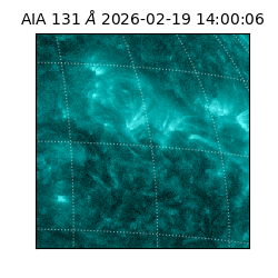 saia - 2026-02-19T14:00:06.626000