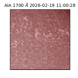 saia - 2026-02-19T11:00:28.709000