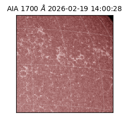 saia - 2026-02-19T14:00:28.717000