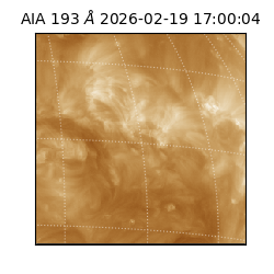 saia - 2026-02-19T17:00:04.838000