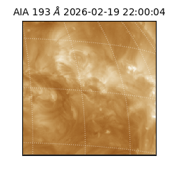 saia - 2026-02-19T22:00:04.835000