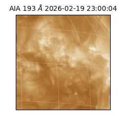 saia - 2026-02-19T23:00:04.843000