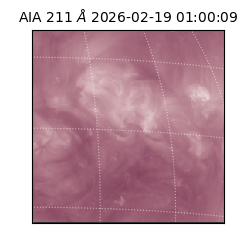 saia - 2026-02-19T01:00:09.630000