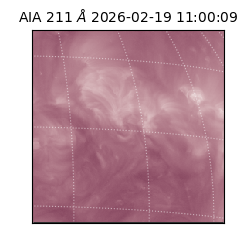 saia - 2026-02-19T11:00:09.633000