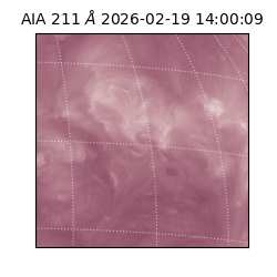 saia - 2026-02-19T14:00:09.634000