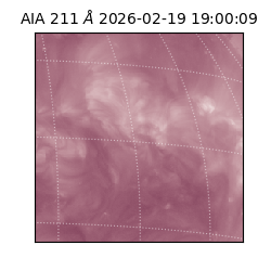 saia - 2026-02-19T19:00:09.626000