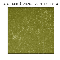 saia - 2026-02-19T12:00:14.118000