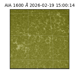 saia - 2026-02-19T15:00:14.129000