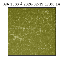 saia - 2026-02-19T17:00:14.117000