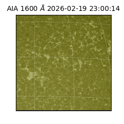 saia - 2026-02-19T23:00:14.126000