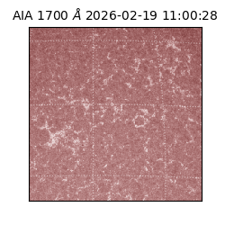 saia - 2026-02-19T11:00:28.709000