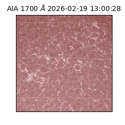 saia - 2026-02-19T13:00:28.743000