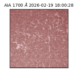 saia - 2026-02-19T18:00:28.717000