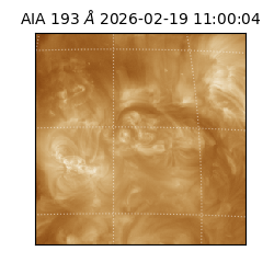 saia - 2026-02-19T11:00:04.844000