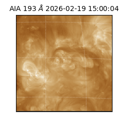 saia - 2026-02-19T15:00:04.843000