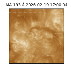 saia - 2026-02-19T17:00:04.838000