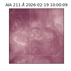 saia - 2026-02-19T10:00:09.632000