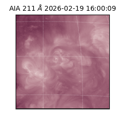 saia - 2026-02-19T16:00:09.630000