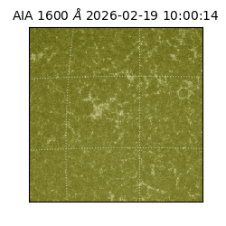 saia - 2026-02-19T10:00:14.125000