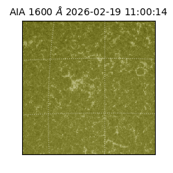 saia - 2026-02-19T11:00:14.129000