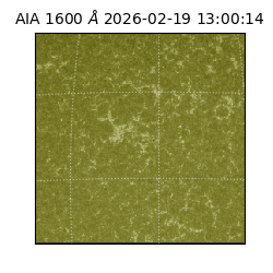 saia - 2026-02-19T13:00:14.126000