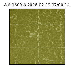 saia - 2026-02-19T17:00:14.117000