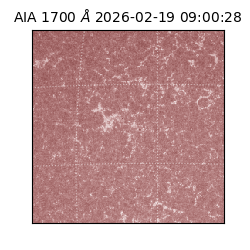 saia - 2026-02-19T09:00:28.717000